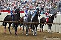 VBS_1211 - Palio di Asti 2024